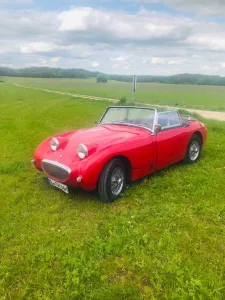 Austin Healey Andere