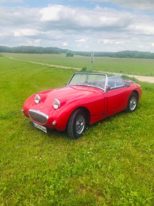 Austin Healey Andere