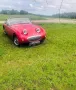 Austin Healey Andere