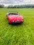 Austin Healey Andere