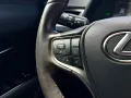 Lexus UX 250h*F-SPORT*ACC*RFK*Car-Play*LED*1-HAND