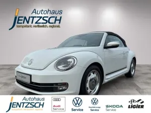 Volkswagen Beetle Cabriolet Cup Xenon/Klimaaut./Sitzh.