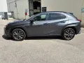 Lexus UX 300h Hybrid F-Design 2WD