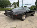 Pontiac Firebird 6.6 FW 87 Trans Am