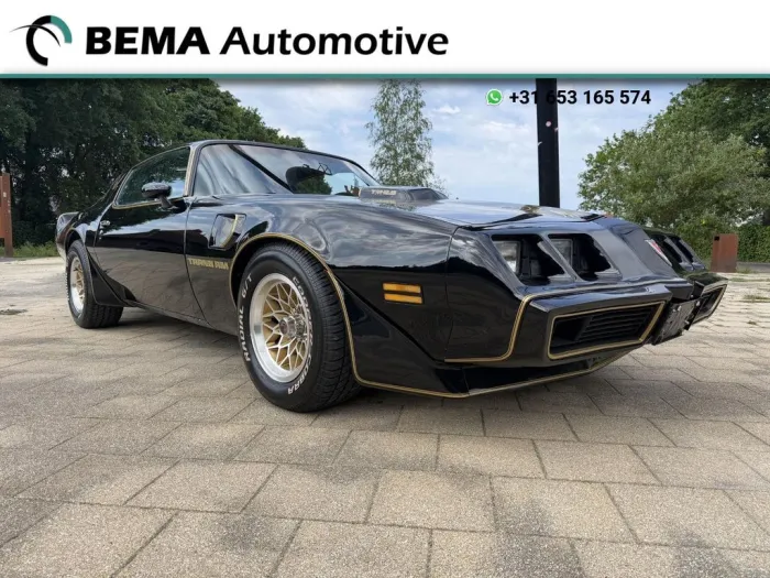 Pontiac Firebird 6.6 FW 87 Trans Am
