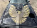 Pontiac Firebird 6.6 FW 87 Trans Am