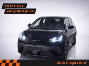 BYD Dolphin Surf Active 30 kWh Lagerwagen