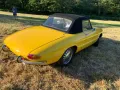 Alfa Romeo Spider Duetto