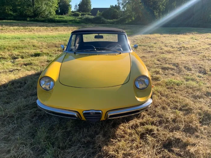 Alfa Romeo Spider Duetto
