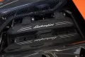 Lamborghini Revuelto, Carbon