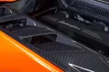 Lamborghini Revuelto, Carbon