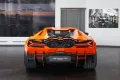 Lamborghini Revuelto, Carbon