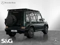 Mercedes-Benz G 450 d PROFESSIONAL MBUX+AHK+360°+M-LED+Standhz