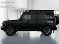 Mercedes-Benz G 450 d PROFESSIONAL MBUX+AHK+360°+M-LED+Standhz