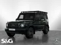 Mercedes-Benz G 450 d PROFESSIONAL MBUX+AHK+360°+M-LED+Standhz