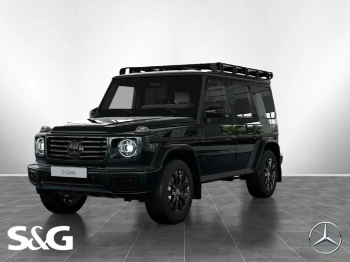 Mercedes-Benz G 450 d PROFESSIONAL MBUX+AHK+360°+M-LED+Standhz