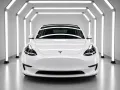 Tesla Model Y Long Range Dual AWD