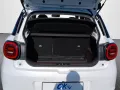 JAC E30X Nordic Edition 50