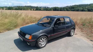Peugeot 205 GTI