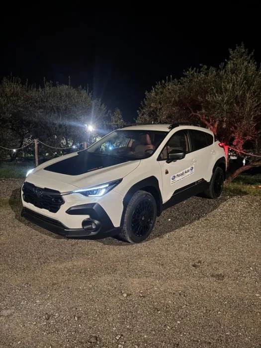 Other Subaru Crosstrek 2.0i e-Boxer 4wild