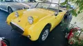 Austin Healey Sprite MK1 FROG Eye 1959er RHD