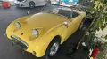 Austin Healey Sprite MK1 FROG Eye 1959er RHD