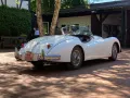 Jaguar XK 140 OTS
