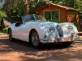 Jaguar XK 140 OTS