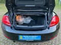 Volkswagen Beetle Cabriolet Design *Käfer *Navi *1Hand *PDC
