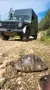 Mercedes-Benz PUCH 230 GE 