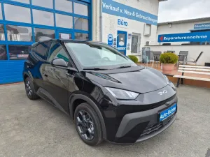 BYD DOLPHIN Surf 43.2kWh Comfort Sitzheizung