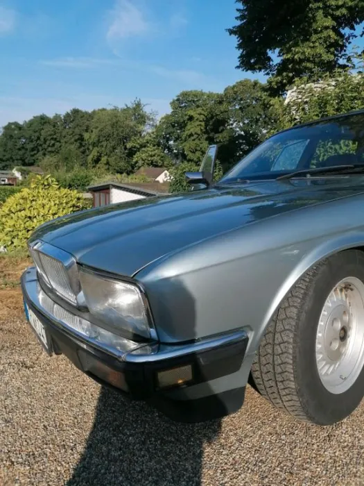 Jaguar XJ40 Sovereign H Kenzeichen