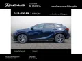 Lexus RX 450h h+ E-Four Business Line 15 Jahre Lexus R