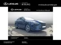 Lexus RX 450h h+ E-Four Business Line 15 Jahre Lexus R