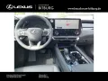 Lexus RX 450h h+ E-Four Business Line 15 Jahre Lexus R