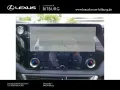 Lexus RX 450h h+ E-Four Business Line 15 Jahre Lexus R