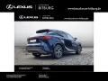 Lexus RX 450h h+ E-Four Business Line 15 Jahre Lexus R