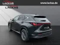 Lexus NX 450h + Business 4x4 15 Jahre Garantie