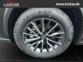 Lexus NX 450h + Business 4x4 15 Jahre Garantie