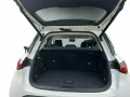 Smart #1 Premium (66kWh) Premium Ambiente-SHZ-Keyless-