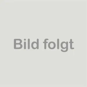 KGM KHAN 4WD 3,5 t Anhängelast, Laderaumrollo, Bügel