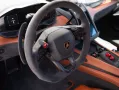 Lamborghini Revuelto V12- Matt Carbon Paket - Sonus Faber - 