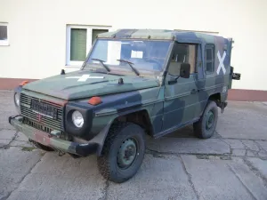 Mercedes-Benz G 250 D, HARDTOP, ex. Bundeswehr, Wolf