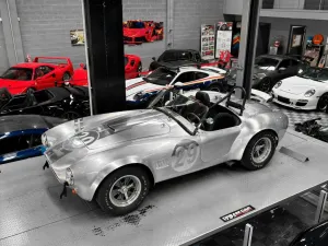 Cobra Continuation CSX 7000