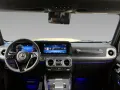 Mercedes-Benz G 450 d PROFESSIONAL+NIGHT+Memory+StHz+AHK+360°