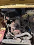 Ford Taunus