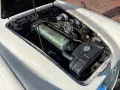 Austin Healey 3000 BJ8 1966 OLD ENGLISH WHITE
