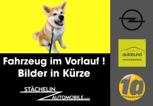 Opel Adam 1.4T S,RECARO,S&LHZ,ALU,INTELLILINK,KLIMAAT