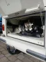 Volkswagen T1 deutsch Bj 67 über 100PS H-Kennzeichen