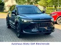 BAIC Beijing X75 Mega Ausstattung